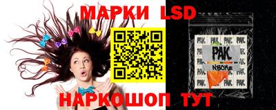 дмт Аргун
