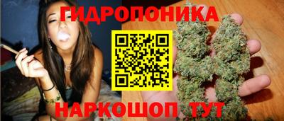 индика Апрелевка