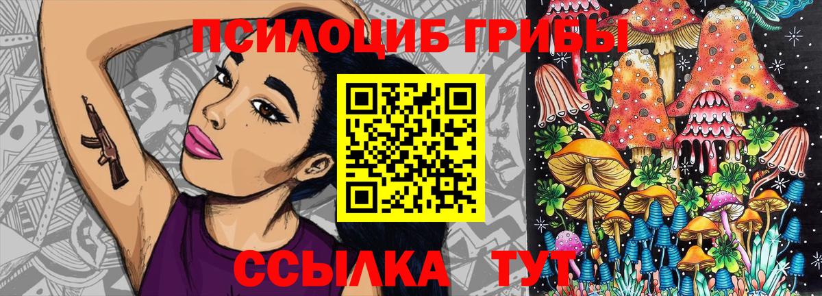 Галлюциногенные грибы Psilocybe  Вход с VPN  Псилоцибиновые грибы Psilocybe  Барнаул 